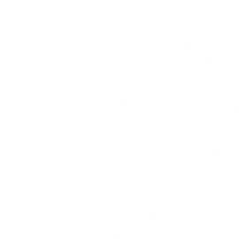 INVERSIONES VALLE ESCONDIDO SPA