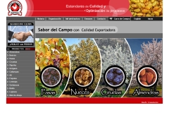 Jorge E. Gallardo F.S.A.C.