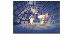 Acme Analytical Laboratories S.A.