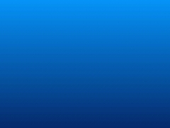 Agencia de Aduanas Pefer Ltda.