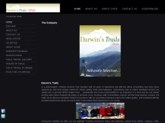 Agencia de Turismo Travellers