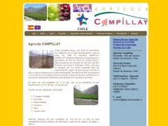 Agrícola Campillay