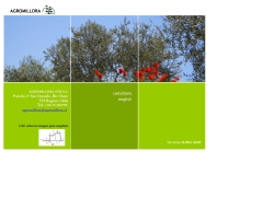 Agromillora Sur S.A.