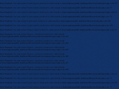 Anglo American International School