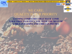 Agrícola Productos Silvestres Ltda.