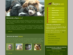 Asesoría Veterinaria Reproduccion y de Fertilidad Animal Reprocan Ltda.