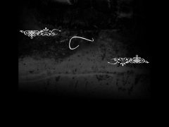 Ap Eventos y Promociones