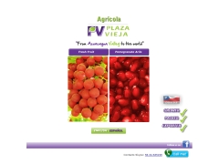 Agricola Plaza Vieja