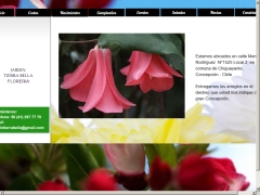 Arreglos Florales Jardín Tierra Bella