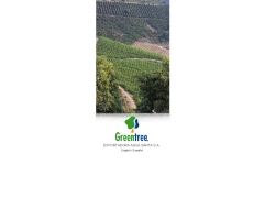 Agricola Santa Amelia Ltda.