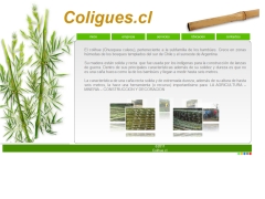 Agricola y Forestal Los Coligues Ltda.