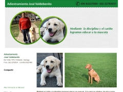 Adiestramiento José Valdebenito
