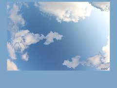 Abarzua Raquel Militza Rojas