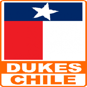 Astorga Y Gatica Limitada