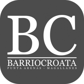 Ana Maria Oyarzun Bahamondez