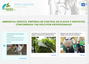 Ambiental Service