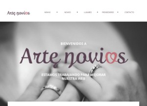 Arte Novios