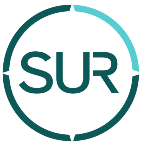 ASESORIA Y CONSULTORIA SUR CONSULTING GROUP INGENIEROS & CONSULTORES LIMITADA