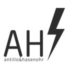 ANTILLO Y HASENOHR LIMITADA