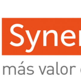 ASESORIAS SYNERGY & SUCCESS LIMITADA