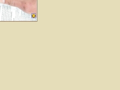 Bignon y Orellana Ltda.