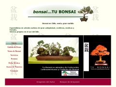 Bonsai Tú Bonsai