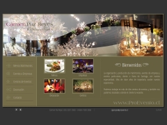 Banquetería Carmen Paz Reyes