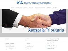 Hvl Auditores Consultores