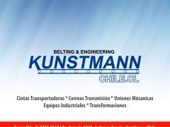Kunstmann Chile