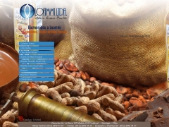 Lo Ammi Representaciones Ltda.