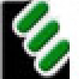 LATIN EQUIPMENT FENIX S.P.A.