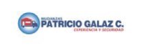 Mudanzas Patricio Galaz