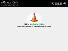 Manex Ltda.