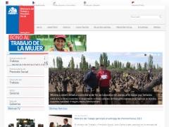 Ministerio Del Trabajo