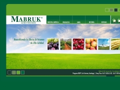 Mabruk AG Comercial y Tecnología Ltda.