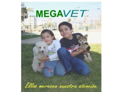 Megavet