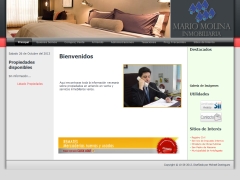 Mario Molina Inmobiliaria