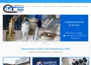 Musttang Chile Mangueras Hidráulicas