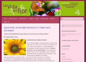 Mitzy Fernandez Morales Terapia Floral