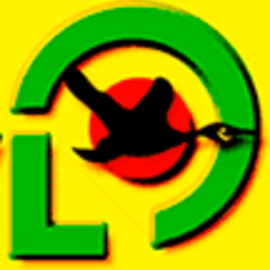 MARTIN REICHSFREIHERR VON LANDSBERG-VELEN REPRESENTACIONES LIMITADA