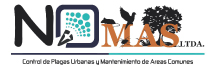 Nomas Ltda.