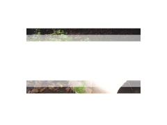 Naturaffia Decoración