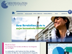 New Revolution Institute