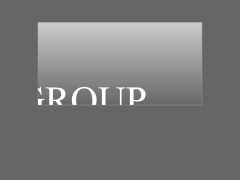 Nielsen Group - America - Since 1982