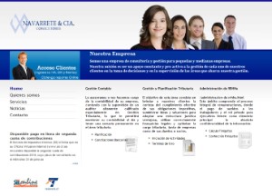 Navarrete Consultores