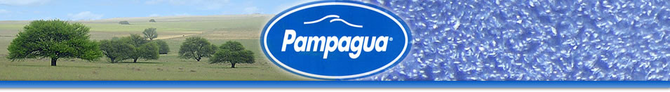 Pampagua