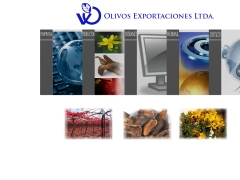Olivos Exportaciones Ltda.