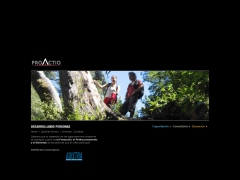 ProActio Consultores