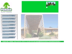 Pehuén Áreas Verdes