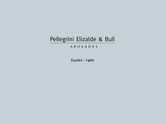 Pellegrini, Elizalde & Bull Ltda.